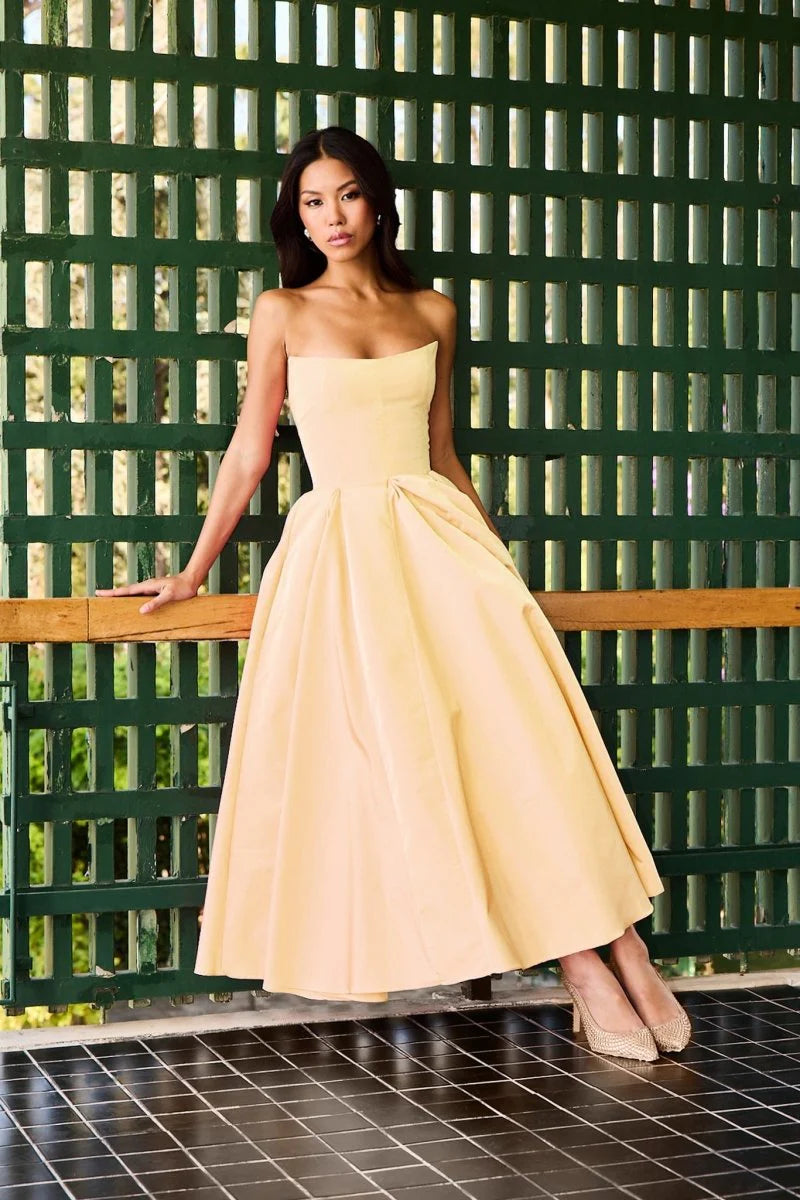 Cinderella Maxi Dress