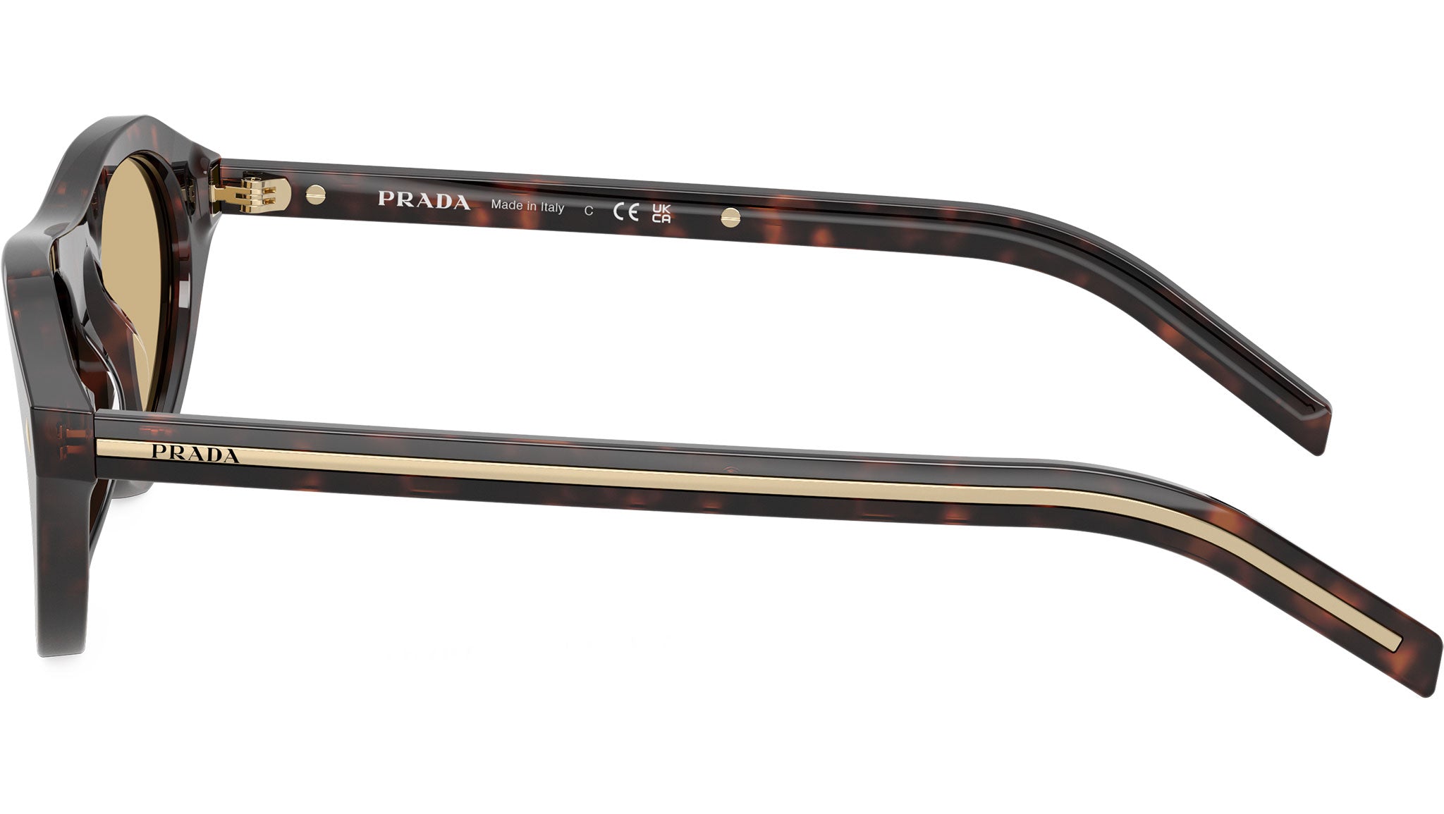 Riviera Tortoise Sunglasses