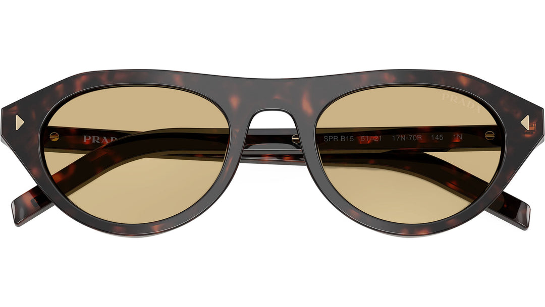 Riviera Tortoise Sunglasses