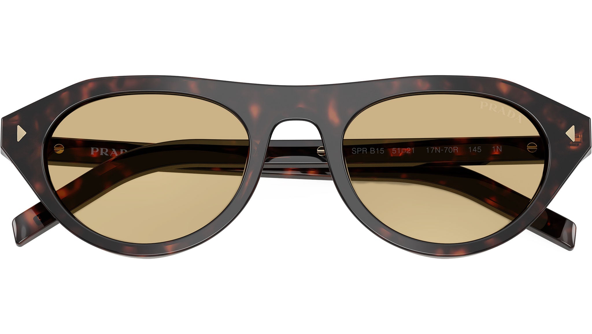 Riviera Tortoise Sunglasses