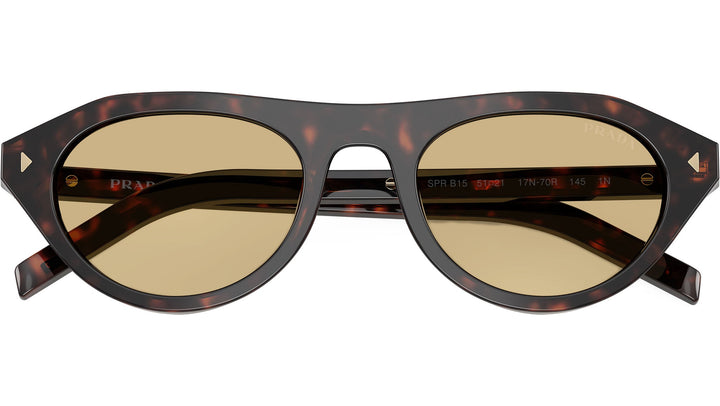 Riviera Tortoise Sunglasses