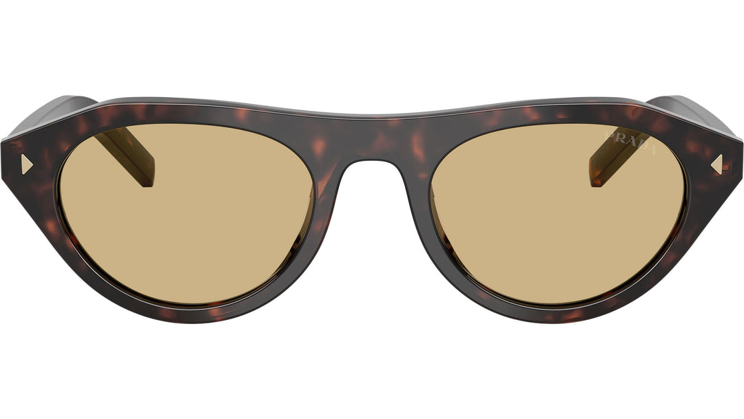Riviera Tortoise Sunglasses