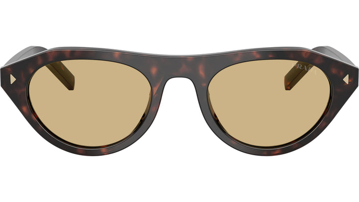 Riviera Tortoise Sunglasses