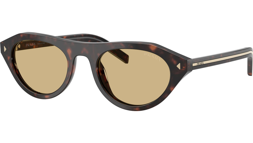 Riviera Tortoise Sunglasses