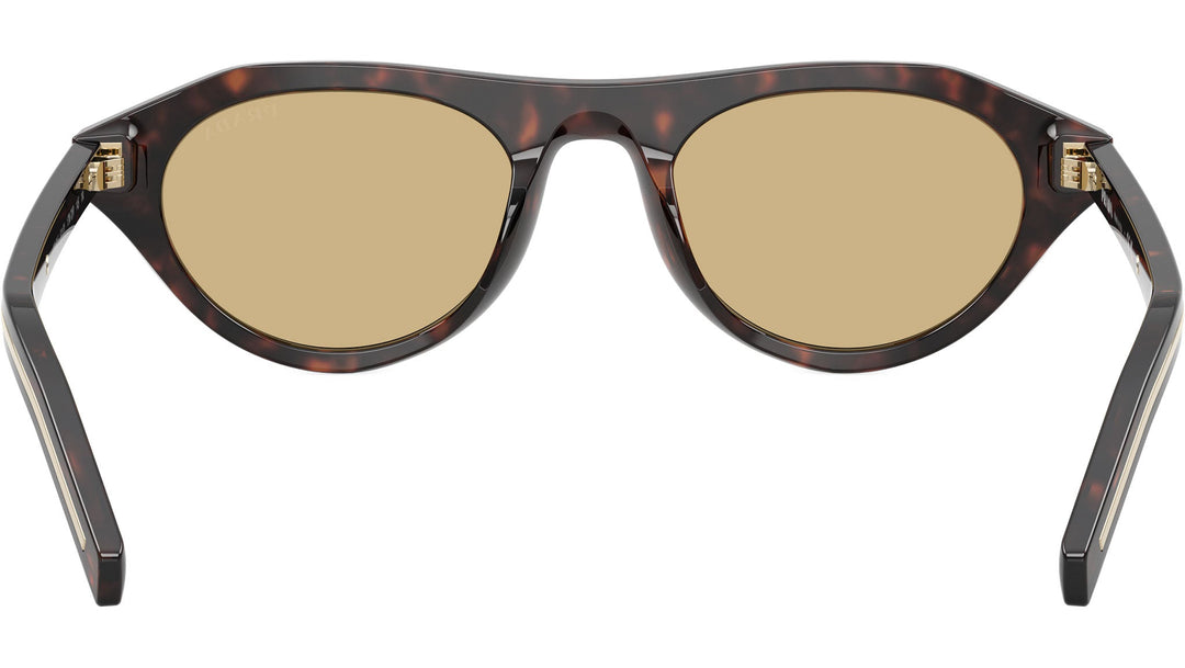 Riviera Tortoise Sunglasses